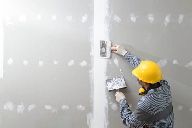 Best Mold Damage Restoration  in Crosby, ND