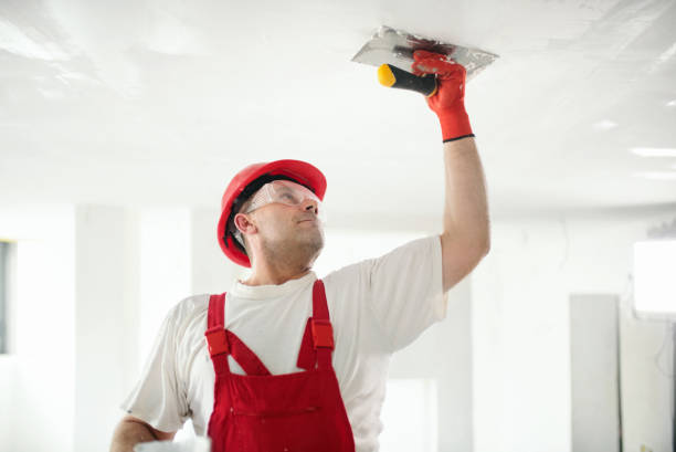 Best Water Damage & Mold Remediation  in Crosby, ND