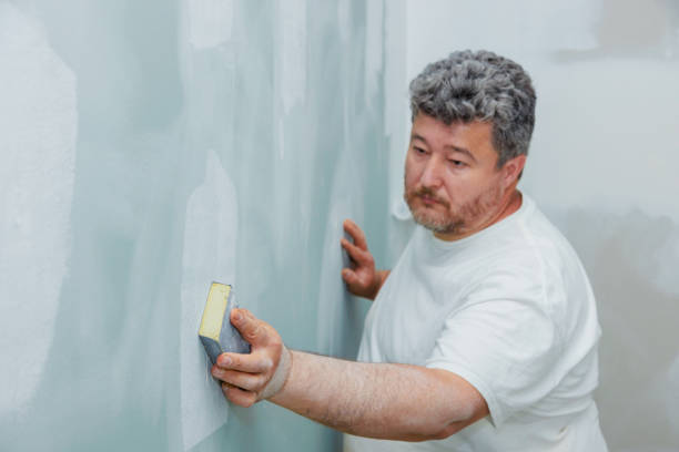 Best Asbestos and Lead Testing During Mold Inspection  in Crosby, ND