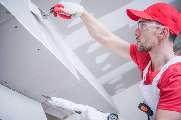 Best Mold Odor Removal Services  in Crosby, ND